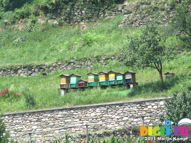 SX18992 Beehives in sun